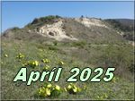 april 2025